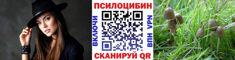 Псилоцибиновые грибы Magic Shrooms  сколько стоит  Сочи 