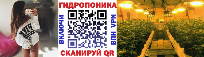 Шишки марихуана Ganja  Сочи 